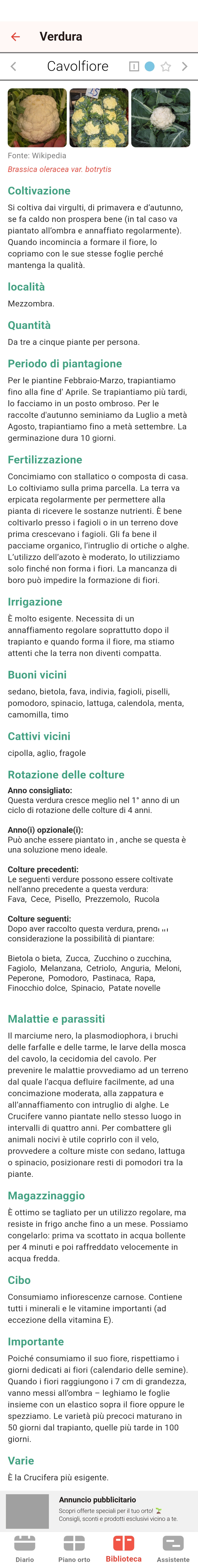App calendar view